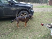 Photos from BC trip 2017 r02 wp0002 2017 04 26 14 35 42