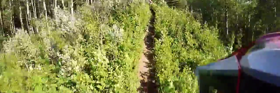 A new video from Mackenzie