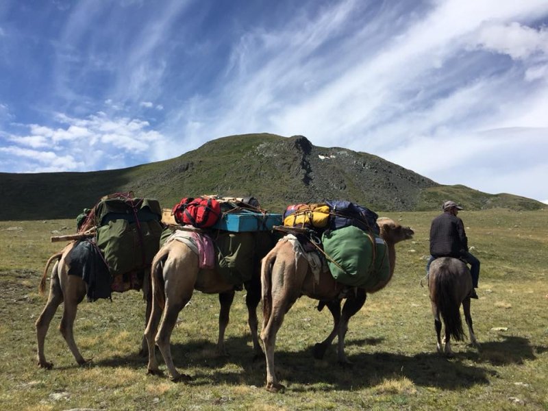 mongolia-2018-packing-a-load