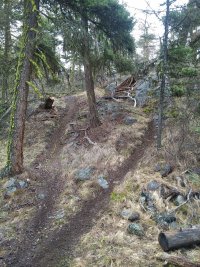 Photos from BC trip 2017 r06 wp0699 2017 05 01 13 37 26