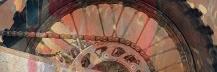 Horsepower and Medicine