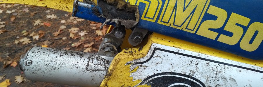 Have you ever done anything this dumb?