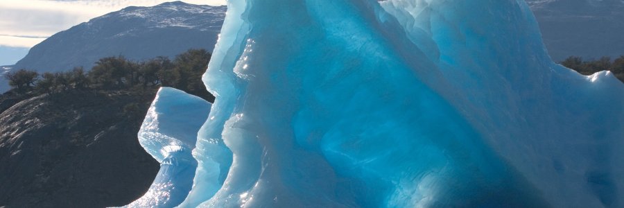 Overwhelmed by enthusiasm and generosity.