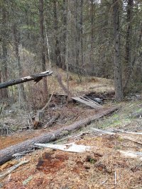 Photos from BC trip 2017 r06 wp1117 2017 05 01 14 23 04