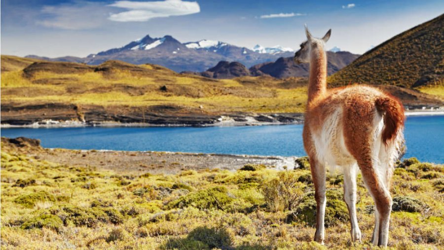Chile Creates Five New Massive National Parks Protecting Over 10 Million Acres Of Land