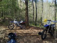 Photos from BC trip 2017 r03 wp0645 2017 04 27 14 30 21