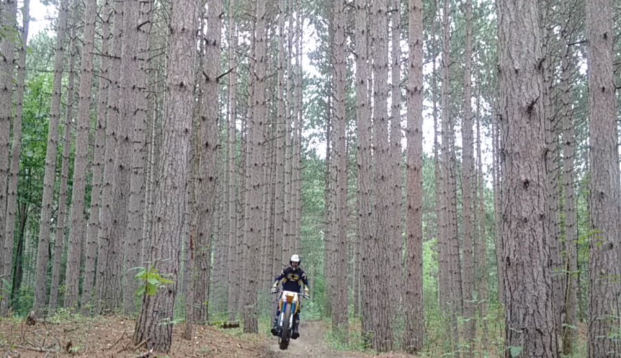 Riding the Whoops at Limerick