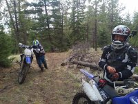 Photos from BC trip 2017 r06 wp0484 2017 05 01 13 18 22