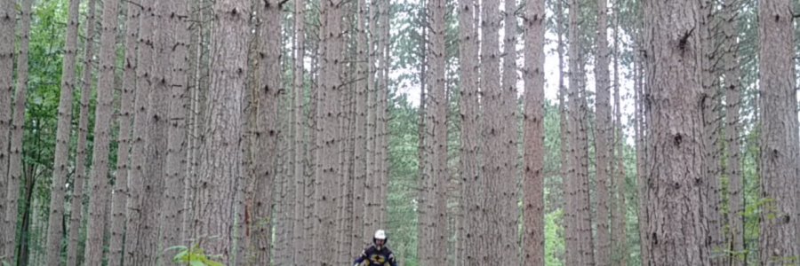 Riding the Whoops at Limerick