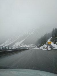 Photos from BC trip 2017 IMG 20170427 1051251