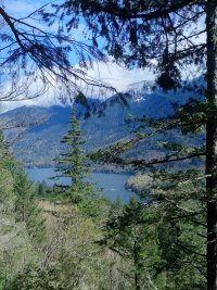 Photos from BC trip 2017 r03 wp0645 2017 04 27 14 29 32
