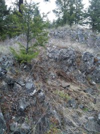 Photos from BC trip 2017 r04 wp0001 2017 04 28 14 17 14