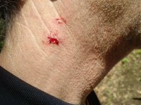 Photos from BC trip 2017 r03 wp0391 2017 04 27 13 43 53