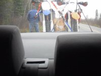 Random family photos Pee Break