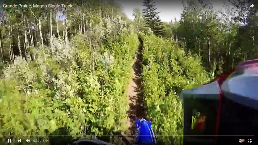 A new video from Mackenzie